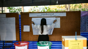 Thai runner-up party seeks criminal case against election officials