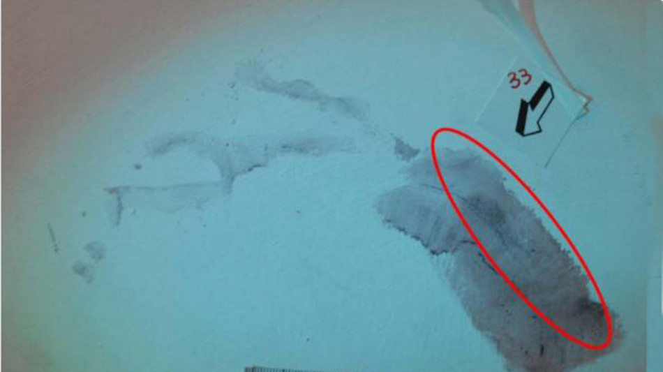 Garofano a legali Sempio, 'su impronta 33 non c'&egrave; sangue'