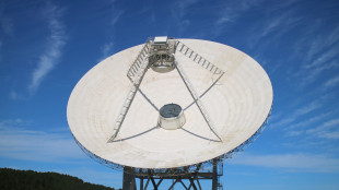 I radiotelescopi italiani dell'Inaf per prevedere i brillamenti solari