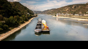 G&uuml;tertransport in der Binnenschifffahrt 2025 gesunken