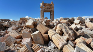 Civil e soldados americanos morrem em emboscada na S&iacute;ria