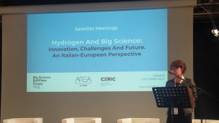 Dopo Trieste il Big science business forum arriver&agrave; a Maastricht