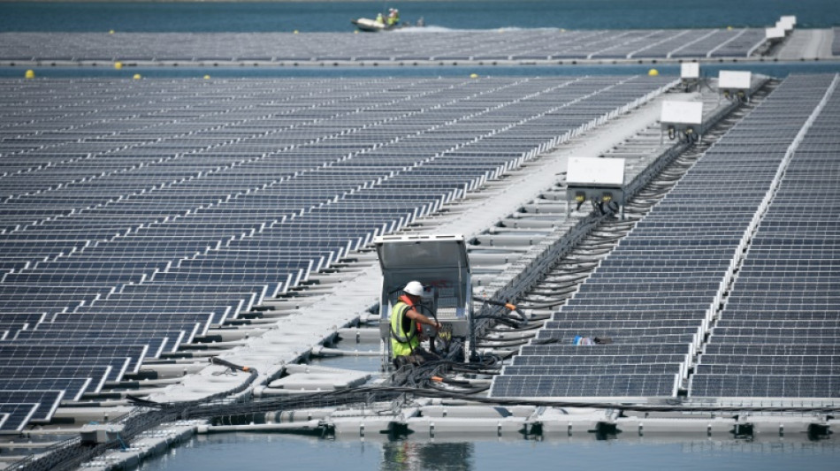 Las renovables superar&aacute;n en 2025 al carb&oacute;n como principal fuente de producci&oacute;n el&eacute;ctrica, seg&uacute;n la AIE