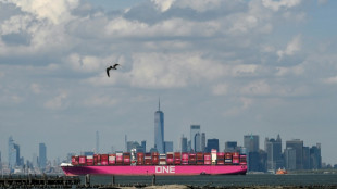 World economies reel from Trump's tariffs punch