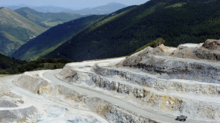 El talco es clasificado como probablemente cancer&iacute;geno por la OMS