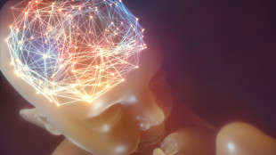 La melatonina per trattare le lesioni al cervello dei prematuri