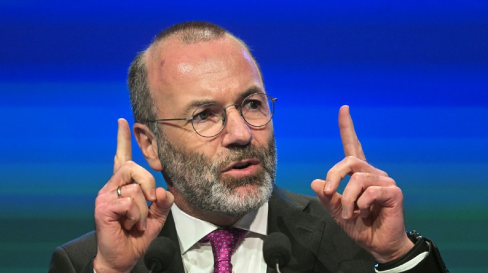 Manfred Weber als Chef der Europäischen Volkspartei wiedergewählt