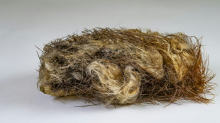 Aux Etats-Unis, premi&egrave;re extinction locale d'une esp&egrave;ce li&eacute;e &agrave; la mont&eacute;e des eaux, selon une &eacute;tude