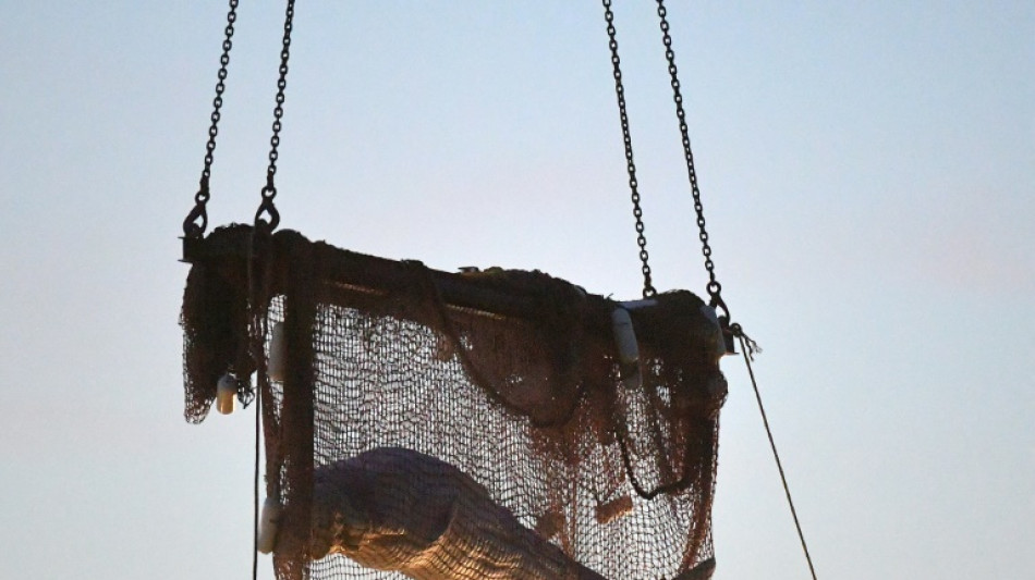 Ailing Beluga whale dies in French rescue bid