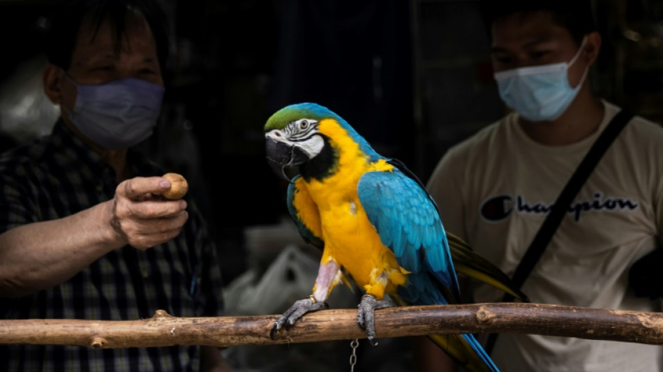 Sprechender Papagei schl&auml;gt offenbar Einbrecher in Werne in die Flucht