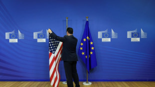 L'UE demande aux Etats-Unis une baisse des droits de douane sur l'acier