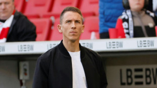 Medien: Bauer darf in Wolfsburg weitermachen