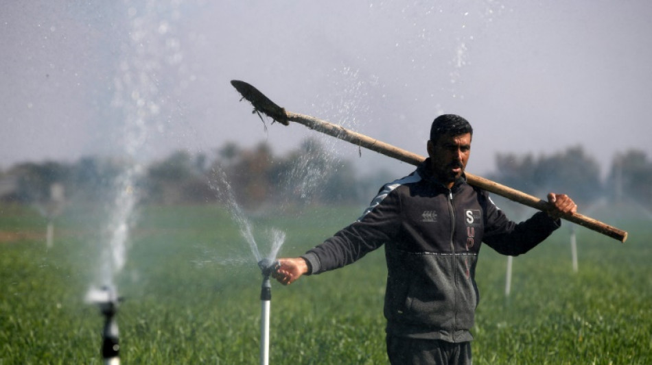 Dans un Irak ass&eacute;ch&eacute;, l'irrigation moderne pour sauver l'agriculture