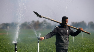 Dans un Irak ass&eacute;ch&eacute;, l'irrigation moderne pour sauver l'agriculture