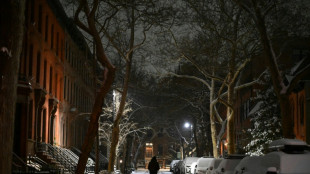 Cae la primera nevada en Nueva York en dos a&ntilde;os