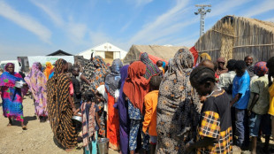 Misi&oacute;n independiente de la ONU sobre Sud&aacute;n halla "indicios de genocidio" en El Fasher