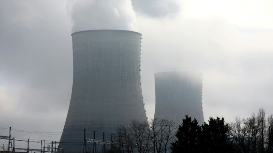 La AIE prev&eacute; un r&eacute;cord de producci&oacute;n de electricidad nuclear en 2025