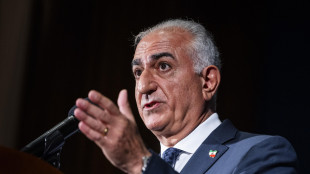 Pahlavi dai manifestanti a Monaco, 'pronto a guidare la transizione in Iran'