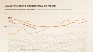 May 2025 second warmest on record: EU climate monitor