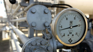 Il prezzo del gas chiude poco mosso a 46,5 euro al megawattora