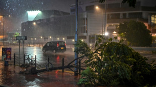 Saola touche terre dans le sud de la Chine, r&eacute;tograd&eacute; au rang de typhon violent