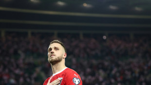 "Wahnsinn": &Ouml;sterreich feiert Abend der Rekorde