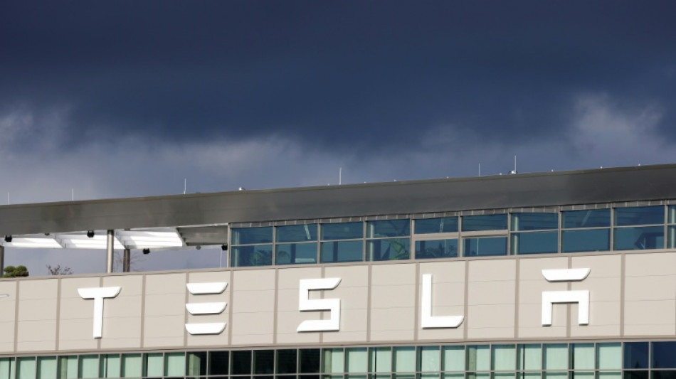 Gericht: Brandenburgs Ex-Wirtschaftsminister darf nicht f&uuml;r Tesla-Kanzlei arbeiten