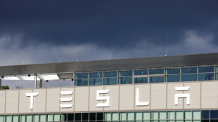 Gericht: Brandenburgs Ex-Wirtschaftsminister darf nicht f&uuml;r Tesla-Kanzlei arbeiten