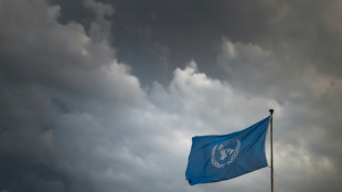 UN says record 383 aid workers killed in 2024