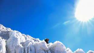 World-first ice archive to guard secrets of melting glaciers 