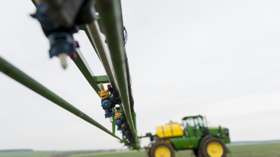 War disrupts fertiliser supplies, puts food security at risk