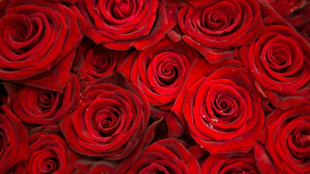 Umfrage: Hälfte der Deutschen hält Muttertag für zu kommerzialisiert 