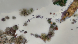 Deutscher Wetterdienst: 2023 mit Rekordw&auml;rme und viel Regen