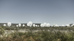 S.Africa's vast radio telescope draws new generation to the cosmos
