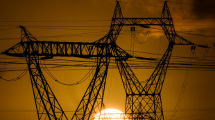 Les lignes &eacute;lectriques au d&eacute;fi de se muscler pour mieux affronter temp&ecirc;tes et canicules