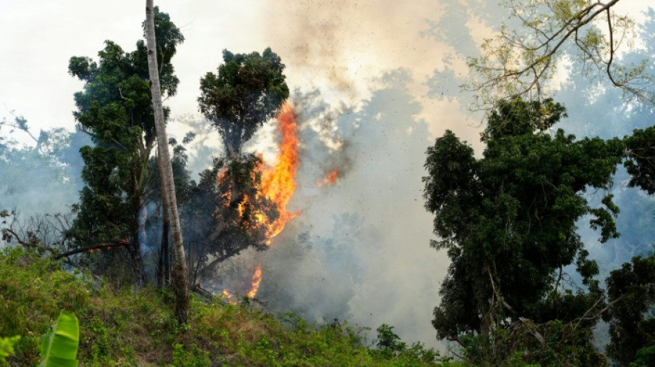 Br&ucirc;lis ill&eacute;gaux et cyclone, un terrain propice pour les feux &agrave; Mayotte