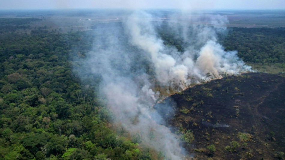 Brazil's Amazon sees worst 6 months of wildfires in 20 years