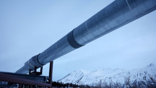 Fossil-fuel pledge in EU-Trump deal sparks climate fears