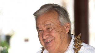 Expertos de la ONU proponen adoptar un sistema de trazabilidad de minerales cr&iacute;ticos