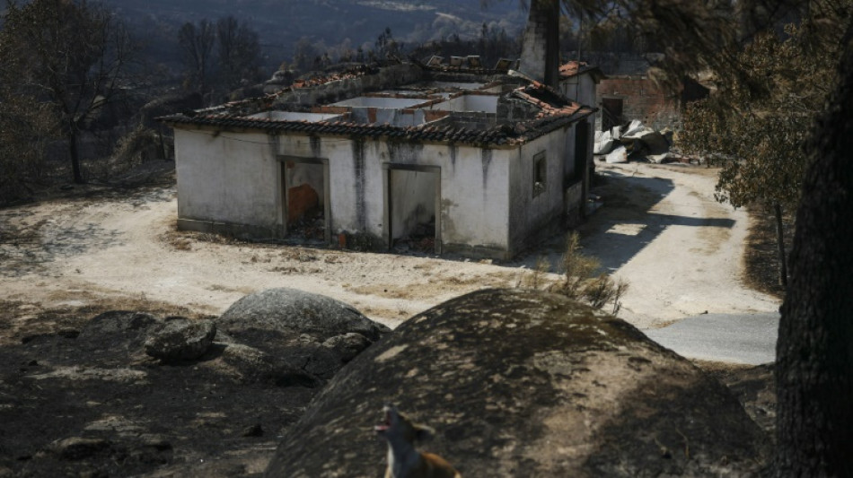 Portugal: un feu de for&ecirc;t a ravag&eacute; une surface record de 64.000 hectares