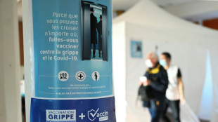 Grippe hivernale: nette hausse des d&eacute;c&egrave;s et "activit&eacute; hospitali&egrave;re tr&egrave;s &eacute;lev&eacute;e"
