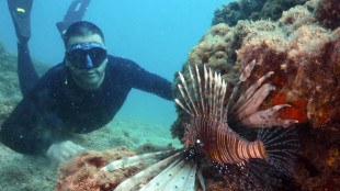 El Mediterráneo sube de temperatura y avanza hacia la "tropicalización"