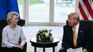 Stock markets, dollar rise on EU-US trade deal 