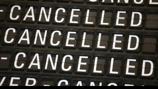 Retards: Bruxelles envisage de donner un peu d'air aux compagnies a&eacute;riennes