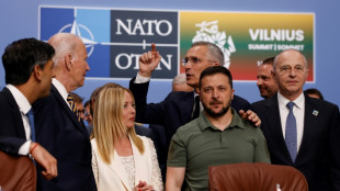 Ukraine warns Western promises can't replace NATO ambition