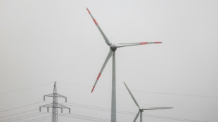 Monopolkommission f&uuml;r flexiblere und regional unterschiedlichere Strompreise