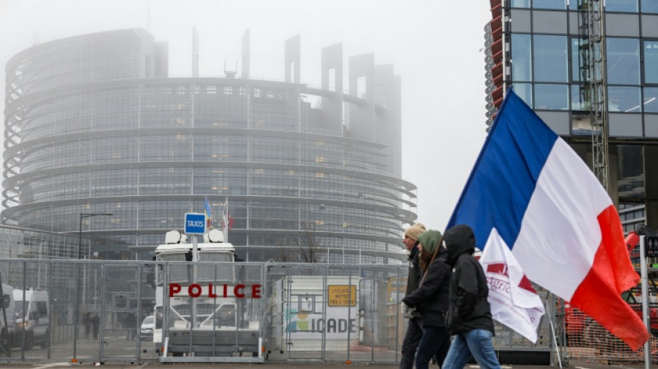 Francia dice que la aplicaci&oacute;n provisional del tratado con el Mercosur ser&iacute;a "una violaci&oacute;n democr&aacute;tica"