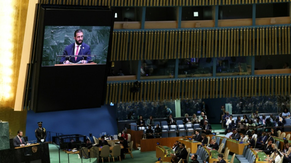 El nuevo presidente sirio pide en la ONU el fin de los ataques israel&iacute;es