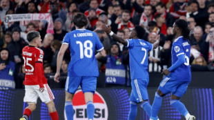 Benfica investigate video of fans' monkey gestures