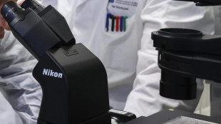 Nel nucleo delle cellule pori aperti come casse del supermarket